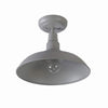 Home Decorators Collection HDP99200GRN 14" Lámpara Semifija Gris para Exterior