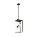 Rollins 3-Light Black Cage Pendant Light for Foyer - 1003965169