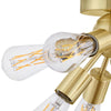 Home Decorators Collection DSHD19549F 17.13" Lámpara Techo Empotrada Oro Cepillado 8 Luces | MiOfertas
