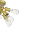 Home Decorators Collection DSHD19549F 17.13" Lámpara Techo Empotrada Oro Cepillado 8 Luces | MiOfertas