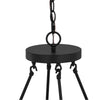 Hampton Bay HDP00340WDG Lámpara de Techo 8 Luces Negro y Madera