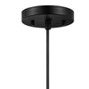 Home Decorators Collection HDP12107BLGLD Lámpara Colgante Mini Globo Negro/Dorado | MiOfertas