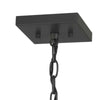 Home Decorators Collection 7927HDCGRDI Lámpara Colgante Mini Palermo Grove Grafito | MiOfertas