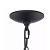 Home Decorators Collection 86201 FW-BK Lámpara Araña Weyburn 8 Luces Negro/Madera | MiOfertas