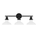 Rockwood 24 in. 3-Light Black Bathroom Vanity Light - 1006485784