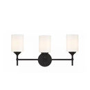 Ayelen 10.25 3-Light Black Vanity Light - 1006712478