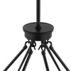 Home Decorators Collection 43780-HBB Lámpara de Araña Palla 6 Luces Globo Negro | MiOfertas