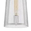 Home Decorators Collection HB3658-326 Lámpara Colgante Níquel Pulido 1 Luz Vidrio Ahumado | MiOfertas
