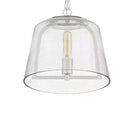 Desmond 60-Watt 1-Light Polished Nickel Pendant with Smoke Seedy Glass Shade - 1007476054