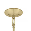 Home Decorators Collection HB3697-338 Lámpara Colgante Oro Cepillado 1 Luz con Pantalla de Vidrio Ah | MiOfertas