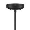 Hampton Bay 24129-002 Lámpara Colgante Isla Negra Mate 4 Luces | MiOfertas