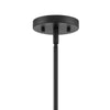 Home Decorators Collection HD19546P1 Lámpara Colgante Brookley Negra Mate 4 Luces | MiOfertas