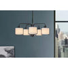 Home Decorators Collection HD19546C1 Lámpara Araña Brookley 5 Luces Negro Mate | MiOfertas