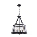 Lincoln 20 in. 4-Light Black Pendant Light Fixture with Metal and Clear Glass Shade - 1008195479