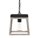 Burkepoint 1-Light Distressed Woodgrain Standard Pendant - 1008228430