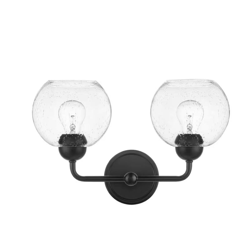 Jill 16 in. 2-Light Black Vanity Light with Clear Seeded Glass Shade - 1008374229
