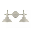 Kelford 18 in. 2-Light Grey Bath Vanity Light - 1008480788