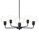 Florabelle 5-Light Chandelier Matte Black Clear Globe Glass Shades - 1008790599