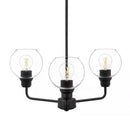 Florabelle 3-Light Chandelier Matte Black Clear Globe Glass Shades- 1008799702