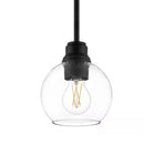 Florabelle 1-Light 6 in. Mini-Pendant Matte Black Clear Globe Glass Shade - 1008804870