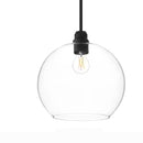 Florabelle 12 in. in. 1-Light Pendant Matte Black Clear Globe Glass Shade - 1008804912