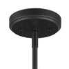 Home Decorators Collection HB3807-43 Lámpara Colgante Negra Mate 4 Luces con Madera Ébano | MiOfertas