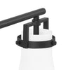 Home Decorators Collection 4001003MG-112 22" Lámpara de Tocador Negra Mate con Pantallas de Vidrio L | MiOfertas