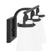 Home Decorators Collection 4001003MG-112 22" Lámpara de Tocador Negra Mate con Pantallas de Vidrio L | MiOfertas