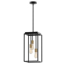 Rollins 3-Light Black Cage Pendant Light for Foyer - 1006712362