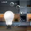 EcoSmart A10A1960WQ1Z01 60-Watt Equival Lámpara - Nuevo