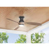 Hampton Bay AK396H-MBK 52" Ventilador de Techo Halwin Negro Mate LED con Control Remoto | MiOfertas