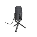 Sensory Cast USB Microphone (Black)