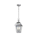 Glenneyre 2-Light Stainless French Quarter Gas Style Outdoor Hanging Pendant Light with Clear Glass - 1007316242