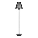 Aspenwood 61.5 in. Black Outdoor/Indoor Floor Lamp- 1008380822