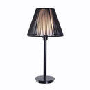 Aspenwood 27. 5 in. Black Outdoor/Indoor Table Lamp- 1008380718