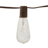 Hampton Bay NXT-SL9514 10 ft. Serie de Luces Incandescentes ST40 Crackle para Exterior/Interior | MiOfertas