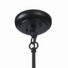 Home Decorators Collection HDP99215 14" Lámpara Colgante Exterior Negra Bell Ridge | MiOfertas