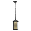Mauvo Canyon Black Dusk to Dawn Small LED Outdoor Pendant Light Fixture with Seeded Glass - 1007198079