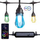 12-Light Outdoor 27.42 ft. Smart Plug-in Edison Bulb LED String Light with RGBW Color Changing and Wireless App Control - 1005706478