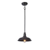 Home Decorators Collection HDP99210BRN 10" Lámpara Colgante Exterior Marrón | MiOfertas