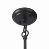 Home Decorators Collection HDP99210BRN 10" Lámpara Colgante Exterior Marrón | MiOfertas