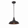 Home Decorators Collection HDP99215BRN 14" Lámpara Colgante Exterior Bell Ridge Café | MiOfertas