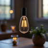 Home Decorators Collection 4000302-962 Lámpara de Tocador Insdale Níquel Cepillado 2 Luces — imagen 2