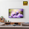 RCA 32" TC-LE32K-AN2401 TV HD (720p) Smart Android LED - Nuevo — imagen 2