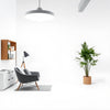 Lighting OPTILED 647-188 Lighting OPTILED 647-188 — imagen 3