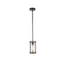 Collier 1-Light Black and Gray Wood Outdoor Mini Pendant Light with Clear Seeded Glass - 1008491125