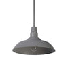 Home Decorators Collection HDP99215GRN 14" Lámpara Colgante Exterior Gris Sombra | MiOfertas