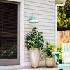 Home Decorators Collection HDP98269TEAL 14" Linterna de Pared Exterior Verde | MiOfertas