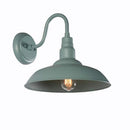 Bell Ridge 14 in. Green Outdoor Large Lantern Wall Sconce with 1-Light - 1008480262